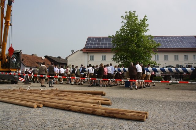 Maibaum 2013